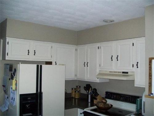 Kitchen Cabinets 2009