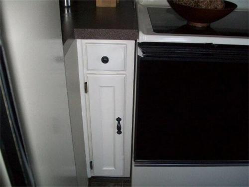 Kitchen Cabinets 2009